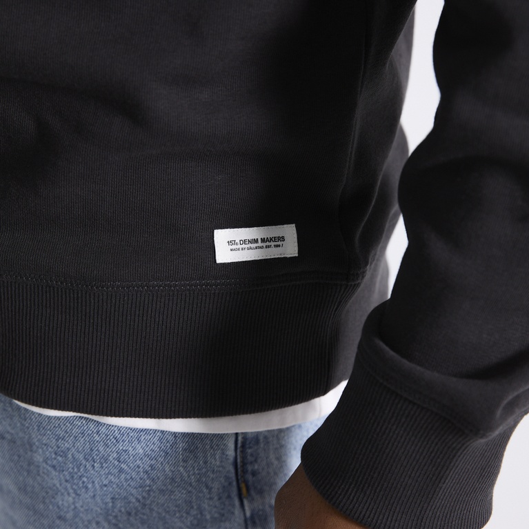 Basic sweatshirt "Roy"